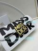 Replica Dior 0312 white letter print vintage shoulder bag (4)_th.jpg